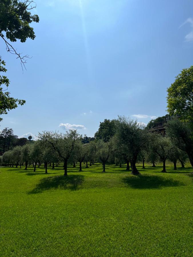 Homely Manerba Manerba del Garda Ngoại thất bức ảnh